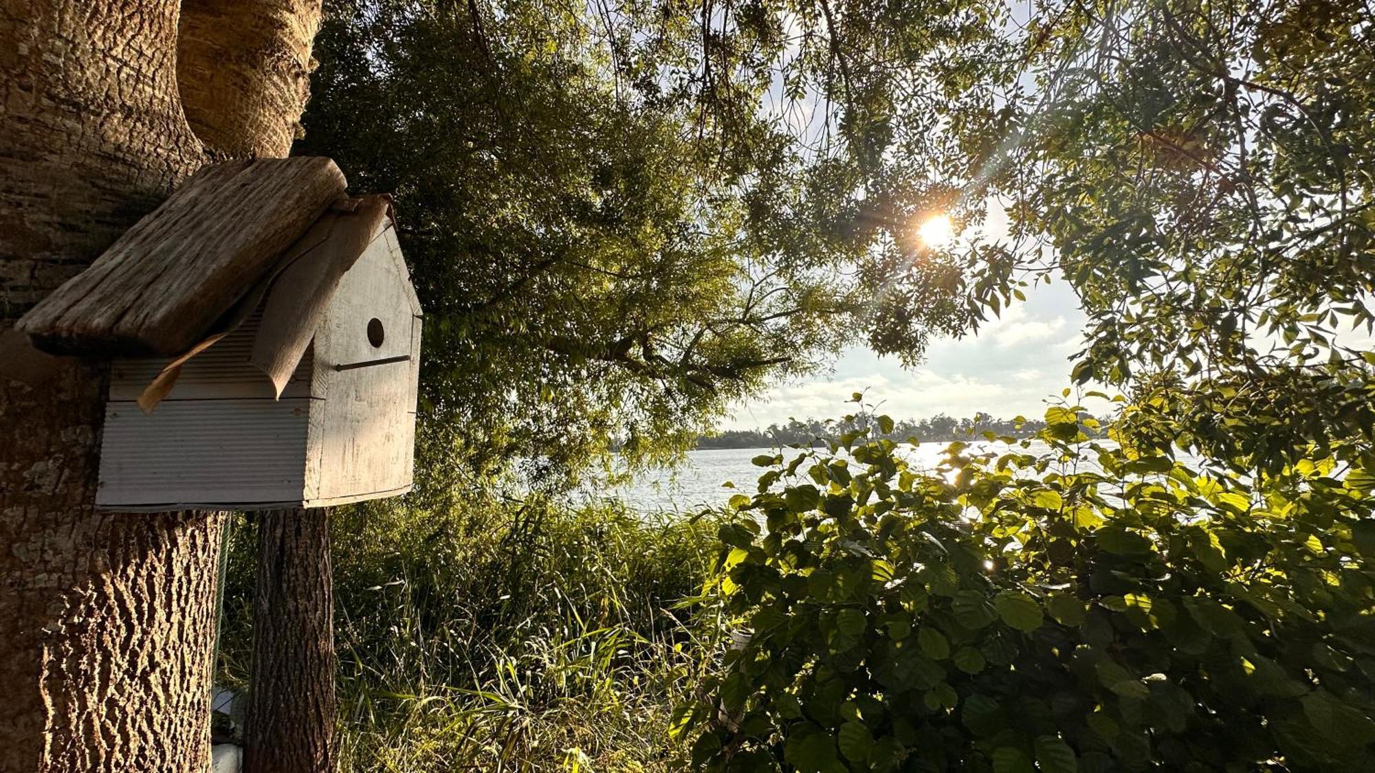 Casa Do Areal, Refugio Das Rotas Pedestres Em Mira 米拉 外观 照片